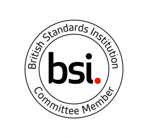 british standard institution committee member logo